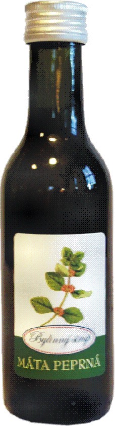 Bylinný sirup / Máta 