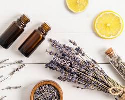 Osvěžovače vzduchu