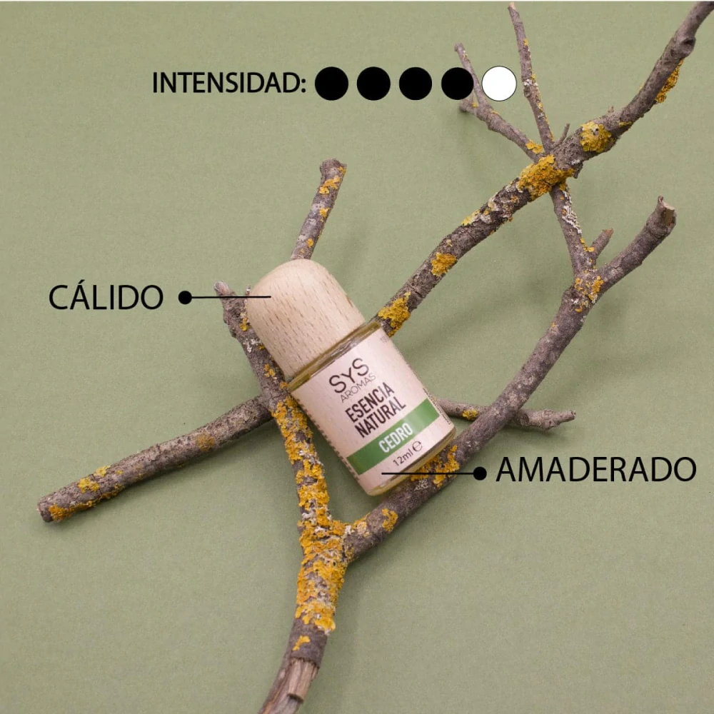 Cedrová esence - 12ml