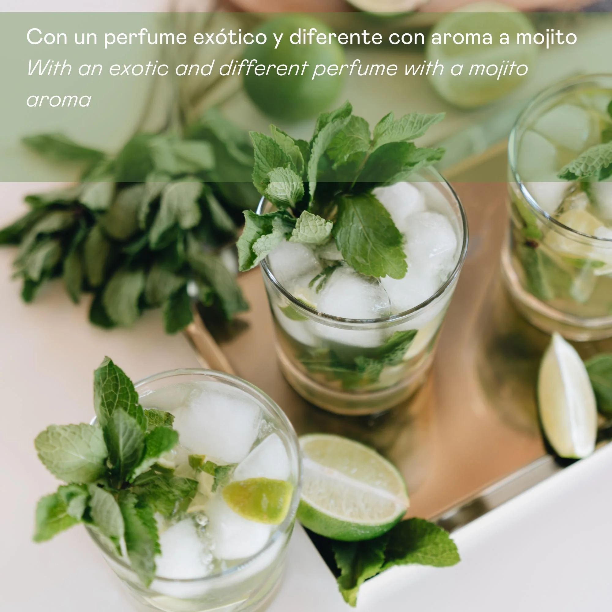 Mojito šampon bez soli - 5000 ml